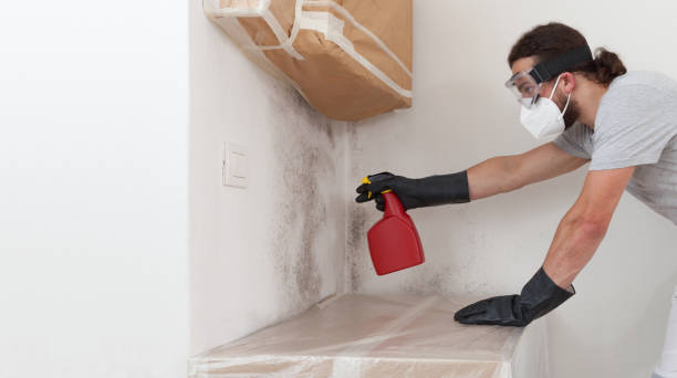 Professional Basement Mold Remediation technician working in Oakland, OR