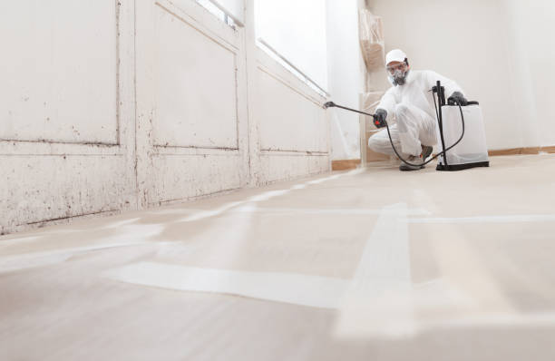 24/7 Emergency Basement Mold Remediation experts in Oakland, OR